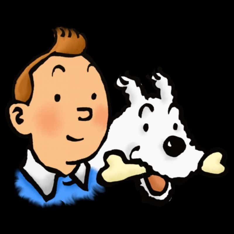 TinTin Snowy