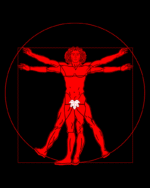 Vitruvian man