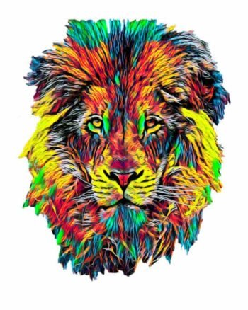 Lion illustration