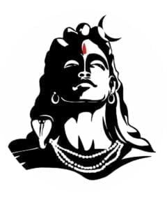 Shiva Graphic
