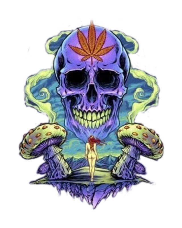 Stoner skull