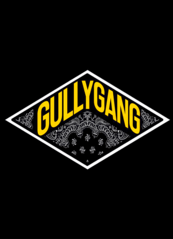Gully Gang