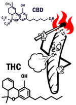 Buy Stoner Graphic T shirt - Image 2