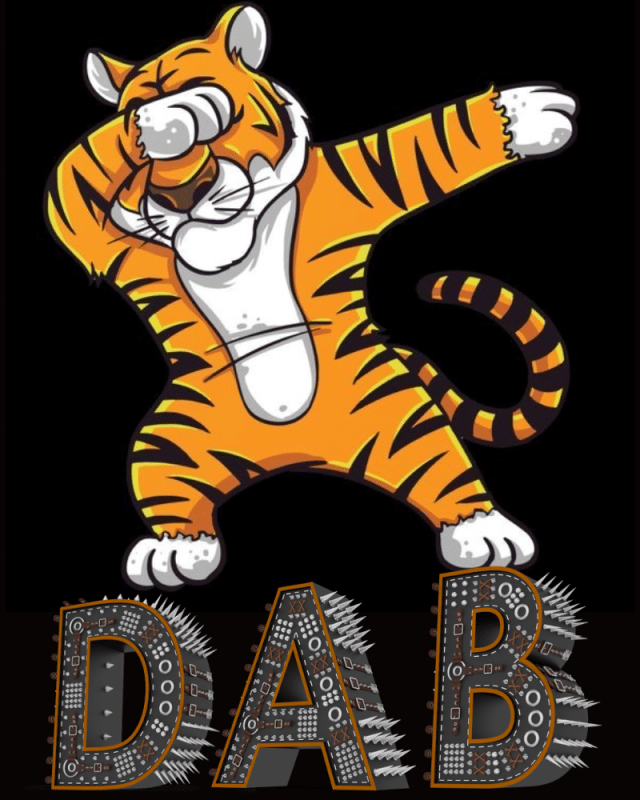 Tiger DAB