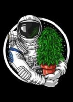 Stoner Astronaut