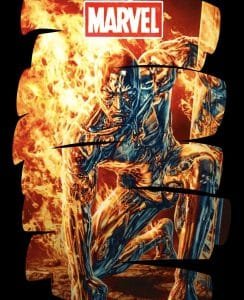 Buy Silver Surfer T shirt