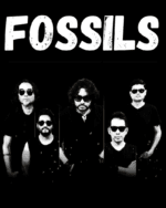 Buy Fossils Black T shirt