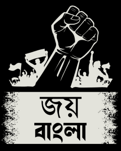 Buy Joy Bangla T shirt