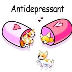 Buy Cute Dogs print white T shirt Dogs are Anti Depressant