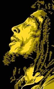 King of Reggae Bob Marley T shirt Buy Bob Marley Tees
