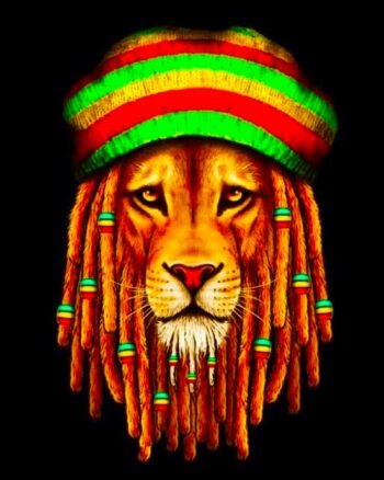 Buy Reggae Lion Black T shirt