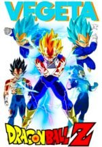 Buy Pack of 2 DragonBall Z T shirts