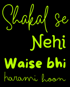 Buy Harami T shirt Buy Funny Hindi print T shirt