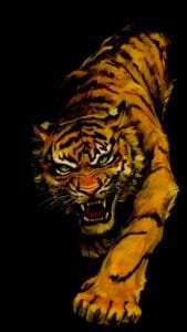 Buy Tiger print Black T shirt
